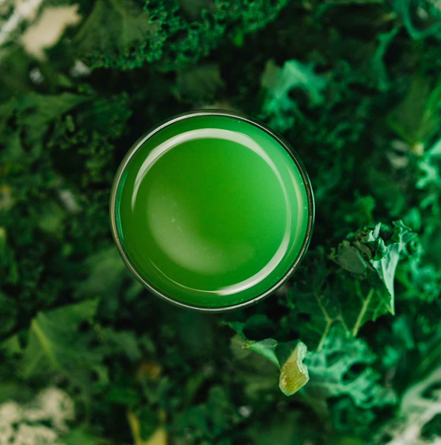 7 Day VeganRx Detox